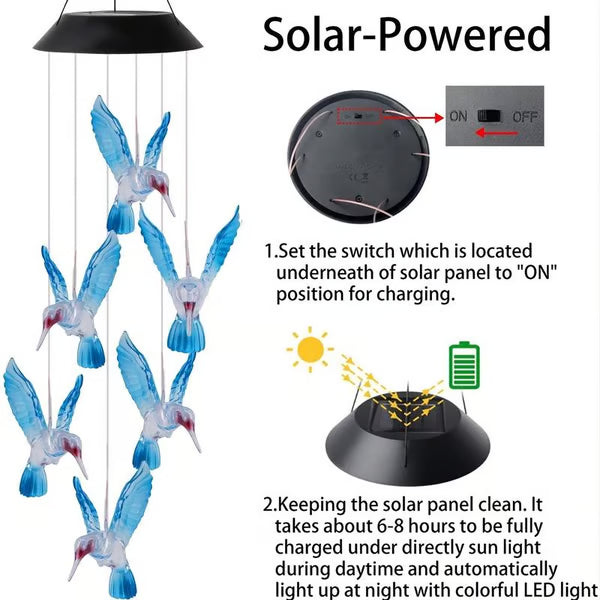 ✨Charmes au Vent Solaire avec Design de Oiseau Créatif