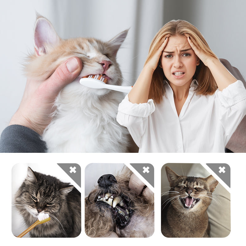 Stylo Nettoyant Dentaire Blanchissant et Rafraîchissant pour Animaux