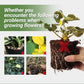 Engrais organique spécial farine d'os - Favorise la croissance des fleurs et des fruits