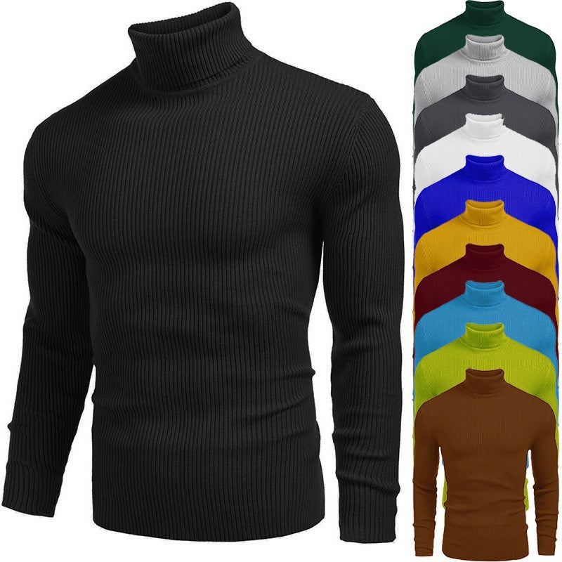Pull fin à col roulé en tricot pour hommes d'hive