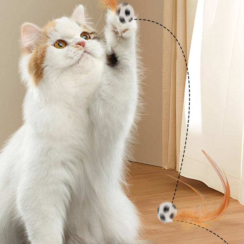 🎉Balle rebondissante interactive pour chat avec des plumes