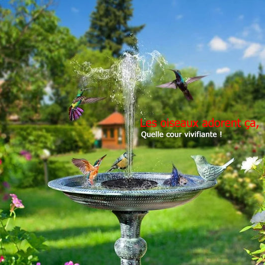 🔥Promotion exceptionnelle -50%🔥🔥Fontaines solaires pour oiseaux🐦️