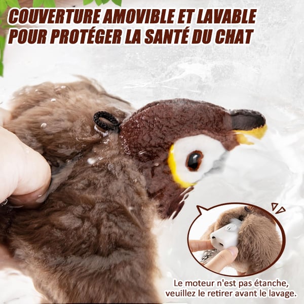 🔥Dernier jour 50% de réduction🐦Jouets à l'herbe à chat pour oiseaux à ailes battantes