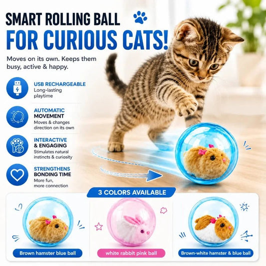 🐱 50% DE RÉDUCTION 🥳 Balle interactive auto-roulante pour chat – Mouvement aléatoire & LED intégrée – Stimule l’instinct de chasse, idéale pour jouer seul ou à plusieurs – rechargeable, résistante et amusante 🎾✨🐾