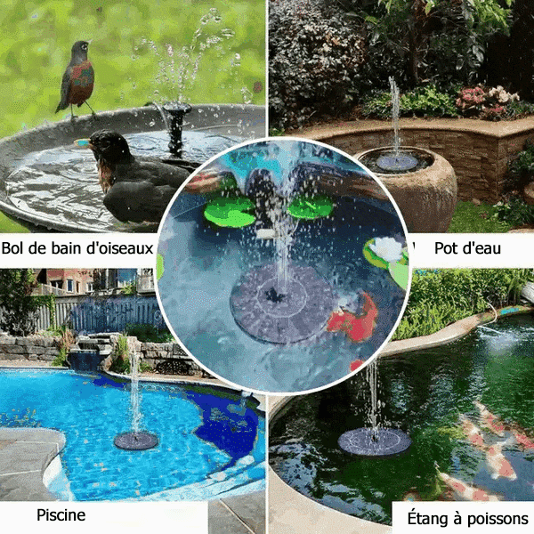 🔥Promotion exceptionnelle -50%🔥🔥Fontaines solaires pour oiseaux🐦️