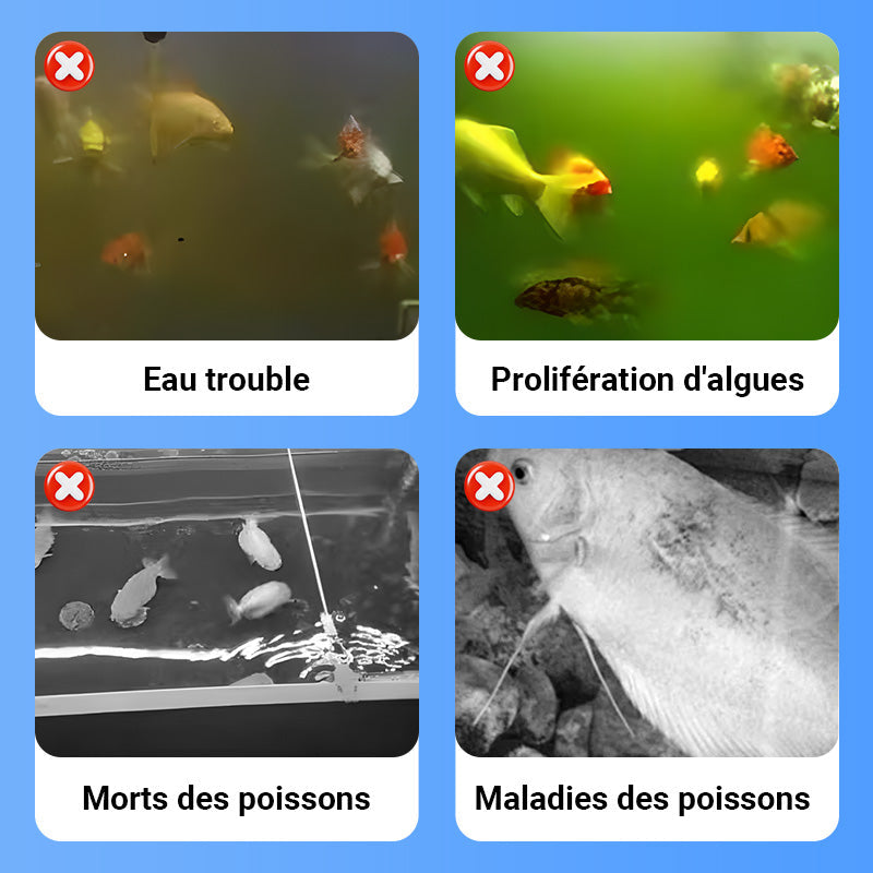 Clarificateur d'Eau Puissant pour Aquarium 100ml