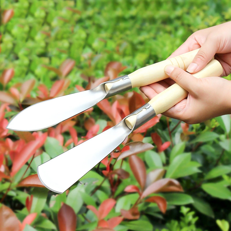 💎 Kit 3-en-1 Jardinage – Désherbage, Plantation & Ratissoir en Acier Inoxydable Épaissi 🌸🛠️