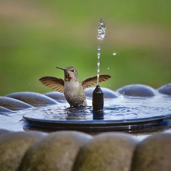 🔥Promotion exceptionnelle -50%🔥🔥Fontaines solaires pour oiseaux🐦️