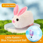 🐱 50% DE RÉDUCTION 🥳 Balle interactive auto-roulante pour chat – Mouvement aléatoire & LED intégrée – Stimule l’instinct de chasse, idéale pour jouer seul ou à plusieurs – rechargeable, résistante et amusante 🎾✨🐾