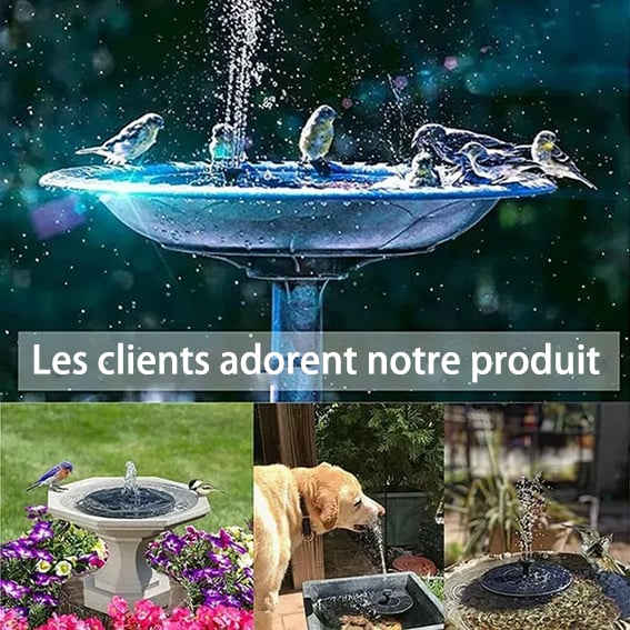 🔥Promotion exceptionnelle -50%🔥🔥Fontaines solaires pour oiseaux🐦️