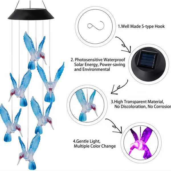 ✨Charmes au Vent Solaire avec Design de Oiseau Créatif