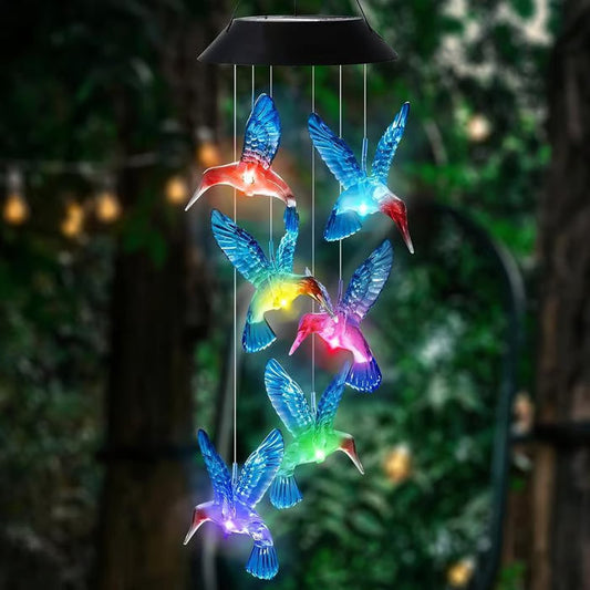 ✨Charmes au Vent Solaire avec Design de Oiseau Créatif