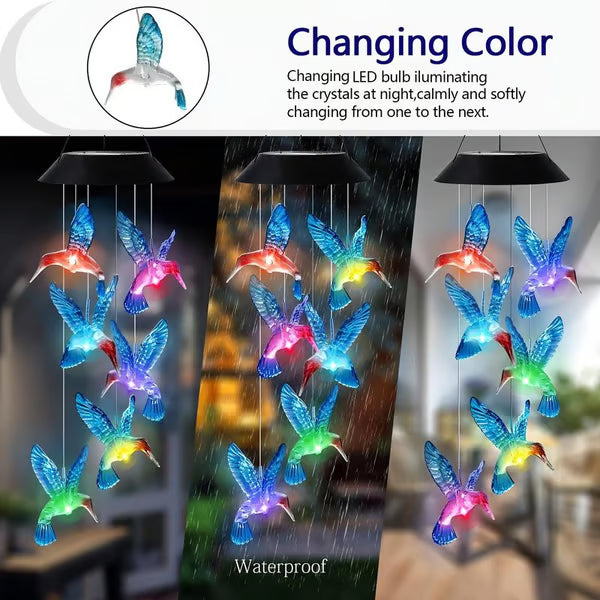 ✨Charmes au Vent Solaire avec Design de Oiseau Créatif