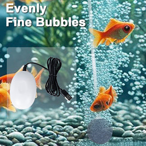 🐠50% OFF MAINTENANT !🔥Pompe à Oxygène USB Silencieuse - Moteur Cuivre Pur & Multicolore, Idéale pour Aquariums et Bassins✨