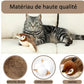 🔥Dernier jour 50% de réduction🐦Jouets à l'herbe à chat pour oiseaux à ailes battantes