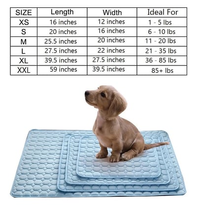 🐾 50% DE RÉDUCTION ❄️ Coussin rafraîchissant été pour animaux – Gel auto-refroidissant & non toxique – Confort optimal pour chiens et chats – idéal pour les journées chaudes à la maison ou en voyage ☀️🐶🐱✨