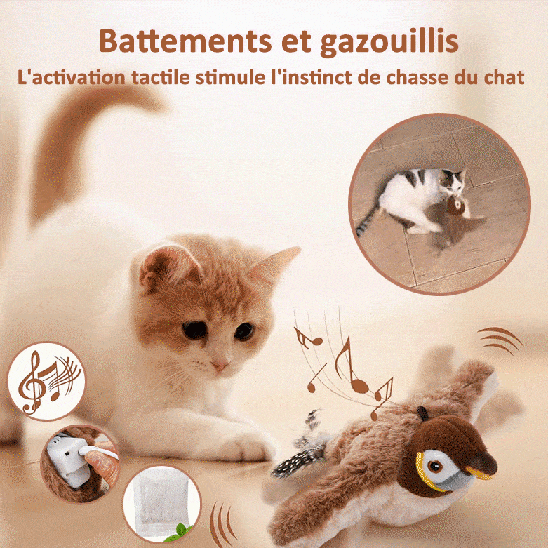 🔥Dernier jour 50% de réduction🐦Jouets à l'herbe à chat pour oiseaux à ailes battantes