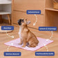 🐾 50% DE RÉDUCTION ❄️ Coussin rafraîchissant été pour animaux – Gel auto-refroidissant & non toxique – Confort optimal pour chiens et chats – idéal pour les journées chaudes à la maison ou en voyage ☀️🐶🐱✨