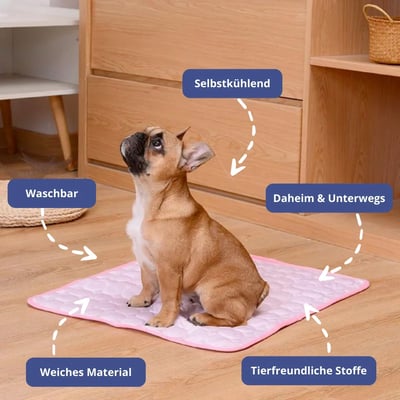 🐾 50% DE RÉDUCTION ❄️ Coussin rafraîchissant été pour animaux – Gel auto-refroidissant & non toxique – Confort optimal pour chiens et chats – idéal pour les journées chaudes à la maison ou en voyage ☀️🐶🐱✨