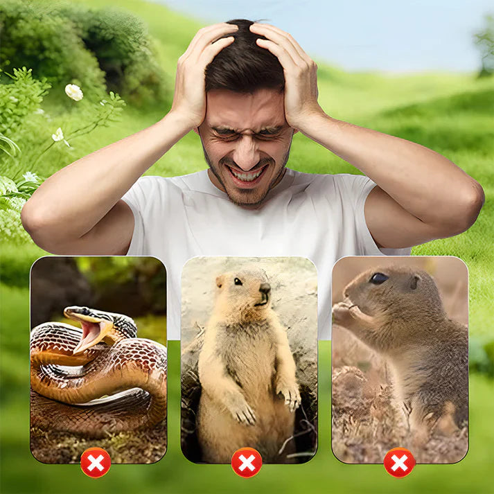 🐭✨Répulsif solaire étanche contre les souris 🌞💧