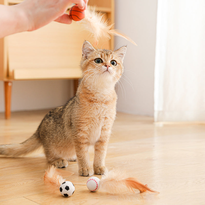 🎉Balle rebondissante interactive pour chat avec des plumes