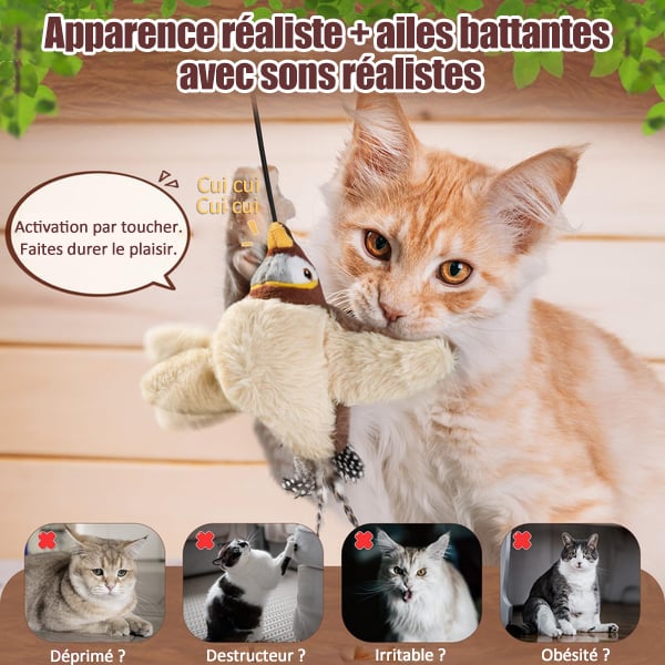 🔥Dernier jour 50% de réduction🐦Jouets à l'herbe à chat pour oiseaux à ailes battantes