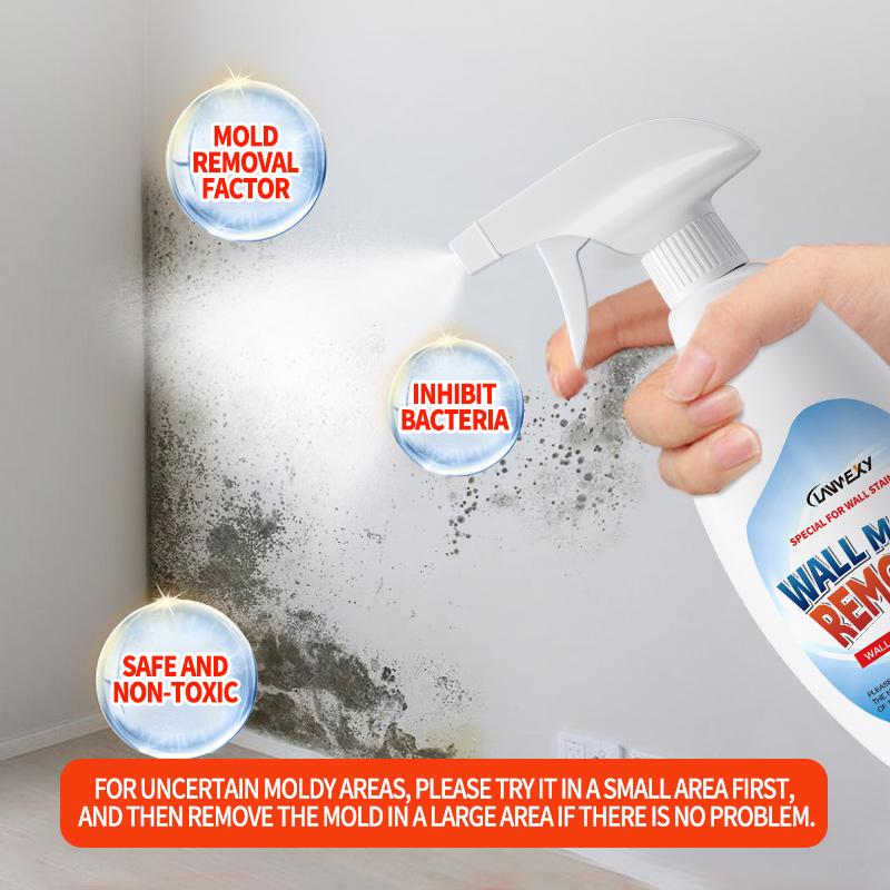 Spray Anti-Moisissure Haute Efficacité
