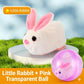 🐱 50% DE RÉDUCTION 🥳 Balle interactive auto-roulante pour chat – Mouvement aléatoire & LED intégrée – Stimule l’instinct de chasse, idéale pour jouer seul ou à plusieurs – rechargeable, résistante et amusante 🎾✨🐾