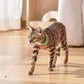 Collier Électronique Rechargeable à Porter pour Chat