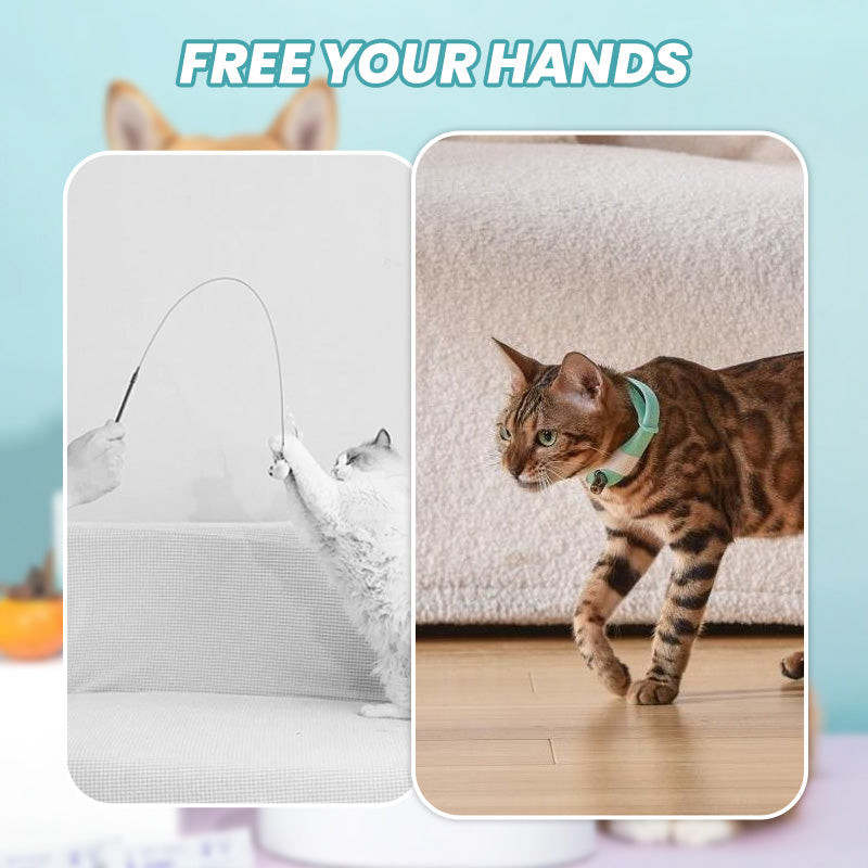 Collier Électronique Rechargeable à Porter pour Chat