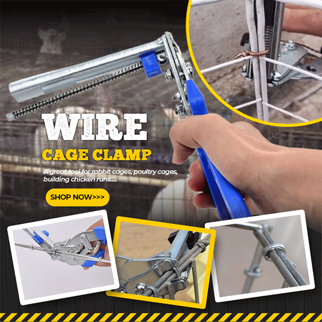 📢📢50 % de réduction⏰Pince pour cage à fils – Précision, Prise en main confortable & Pour travaux délicats✨