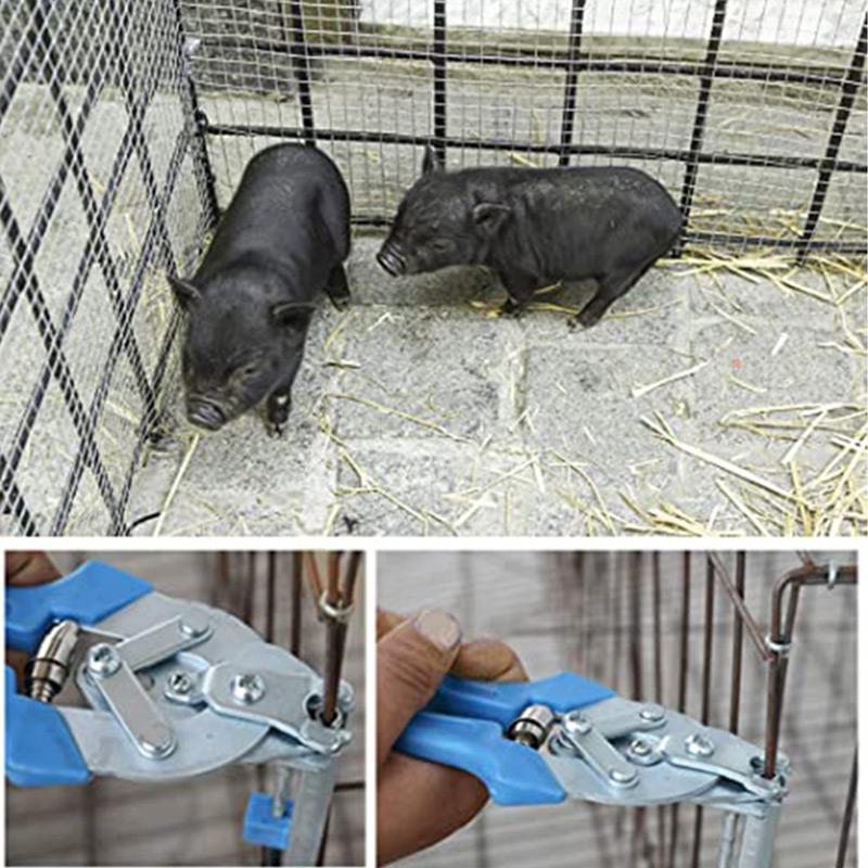 📢📢50 % de réduction⏰Pince pour cage à fils – Précision, Prise en main confortable & Pour travaux délicats✨