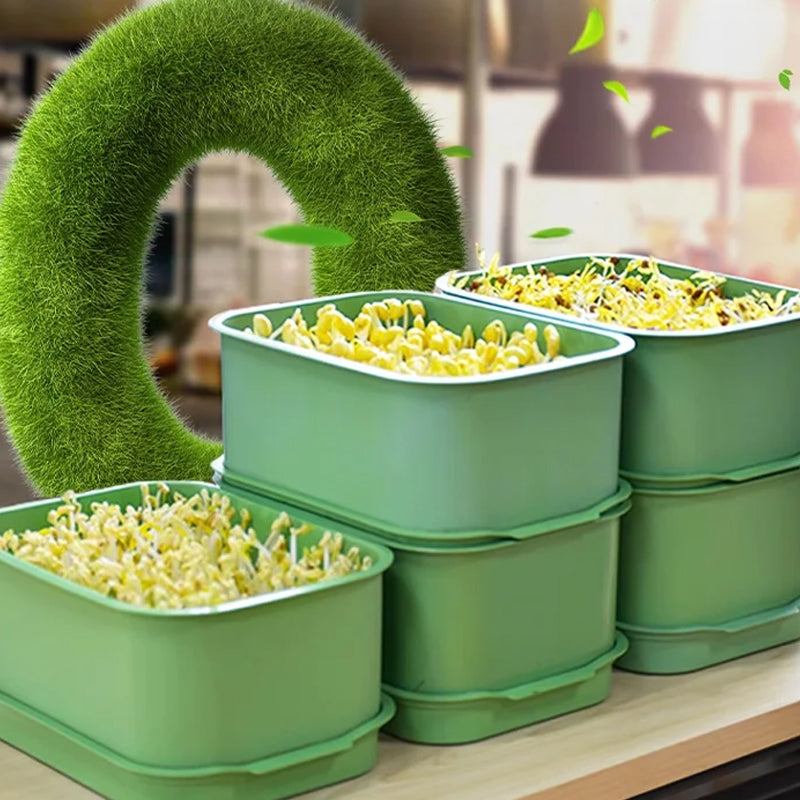 🌱 PROMO LIMITÉE 50% DE RÉDUCTION ! 💥 Caisse Germination Empilable – Mult couche, Anti-Moisissure, Sans Sol ✨