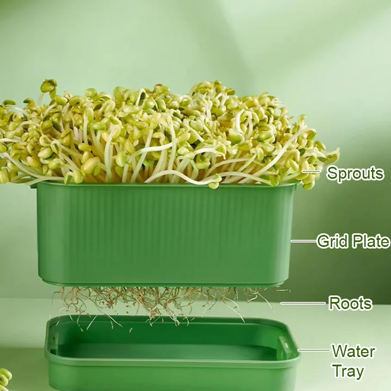 🌱 PROMO LIMITÉE 50% DE RÉDUCTION ! 💥 Caisse Germination Empilable – Mult couche, Anti-Moisissure, Sans Sol ✨