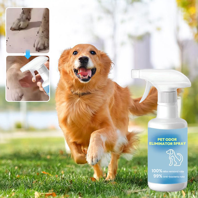 🐱🐶Spray désodorisant pour animaux domestiquest🍃