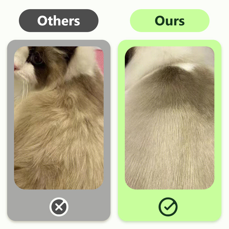 Gants Nettoyants Doux Sans Rinçage pour Animaux