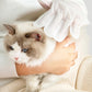 Gants Nettoyants Doux Sans Rinçage pour Animaux