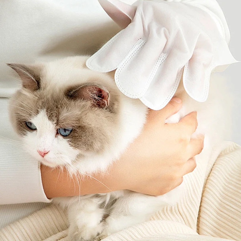 Gants Nettoyants Doux Sans Rinçage pour Animaux