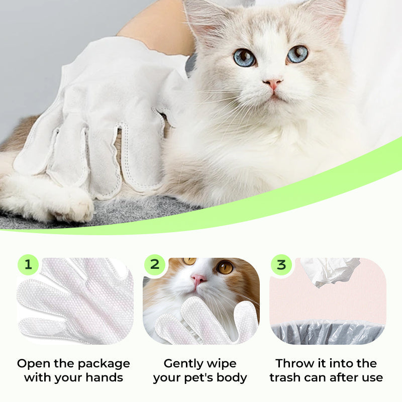 Gants Nettoyants Doux Sans Rinçage pour Animaux