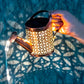 ✨Offre spéciale 2025🌱Lampes solaires cascade✨