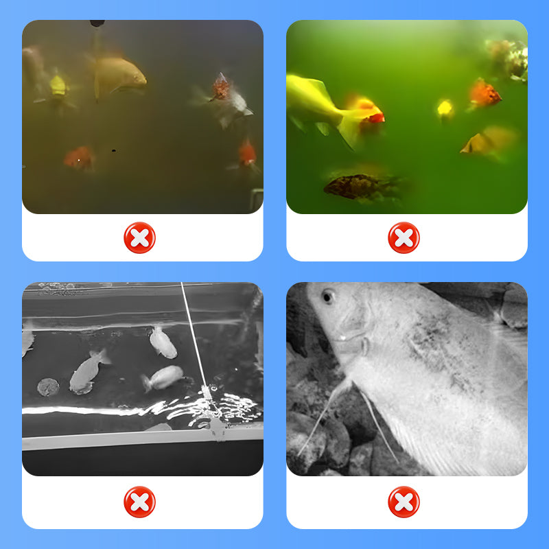 🐠Prix réduit pour une durée limitée - Pompe à air pour aquarium silencieuse et puissante avec double mode