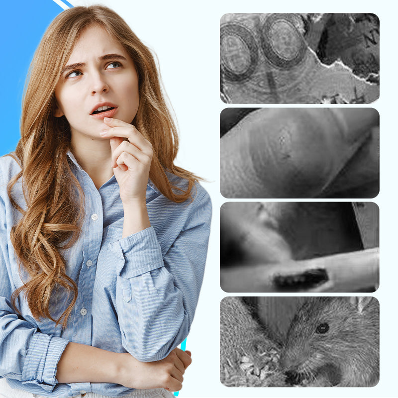 Puissant répulsif à ultrasons pour souris à usage domestique