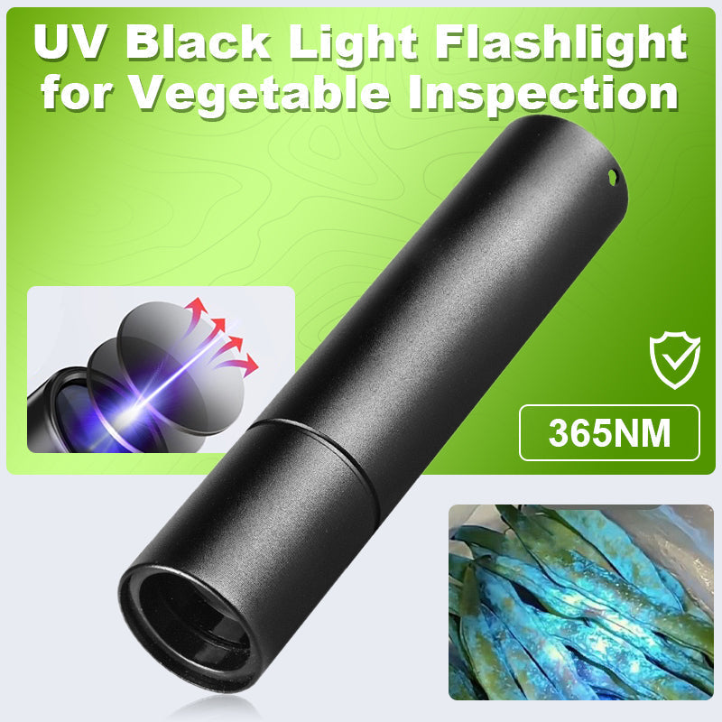 Lampe de poche UV à lumière noire pour l’inspection des légumes