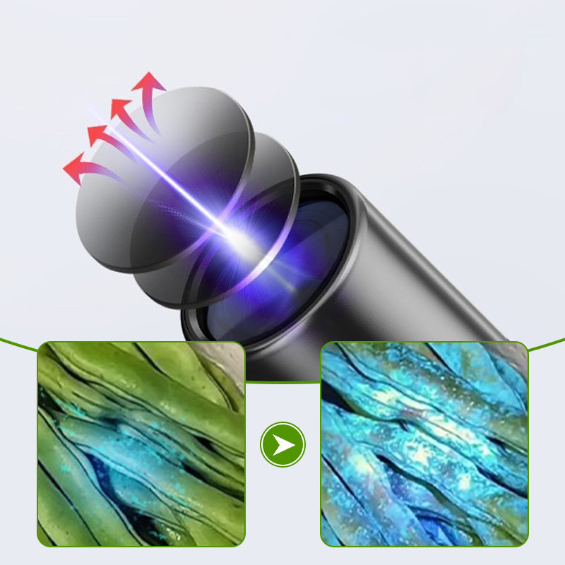 Lampe de poche UV à lumière noire pour l’inspection des légumes