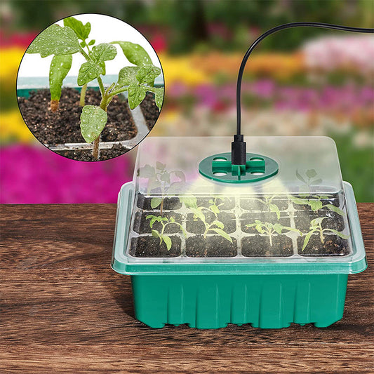 🌱 Mini Serre de Semis avec Éclairage LED Intégré & Minuterie – Couvercle Haut, Intensité Réglable pour Plantes d’Intérieur
