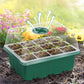 🌱 Mini Serre de Semis avec Éclairage LED Intégré & Minuterie – Couvercle Haut, Intensité Réglable pour Plantes d’Intérieur