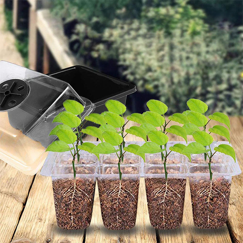 🌱 Mini Serre de Semis avec Éclairage LED Intégré & Minuterie – Couvercle Haut, Intensité Réglable pour Plantes d’Intérieur