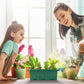 🌱 Mini Serre de Semis avec Éclairage LED Intégré & Minuterie – Couvercle Haut, Intensité Réglable pour Plantes d’Intérieur