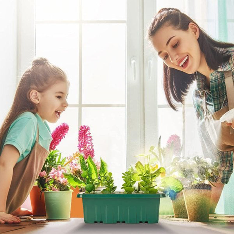 🌱 Mini Serre de Semis avec Éclairage LED Intégré & Minuterie – Couvercle Haut, Intensité Réglable pour Plantes d’Intérieur