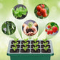 🌱 Mini Serre de Semis avec Éclairage LED Intégré & Minuterie – Couvercle Haut, Intensité Réglable pour Plantes d’Intérieur